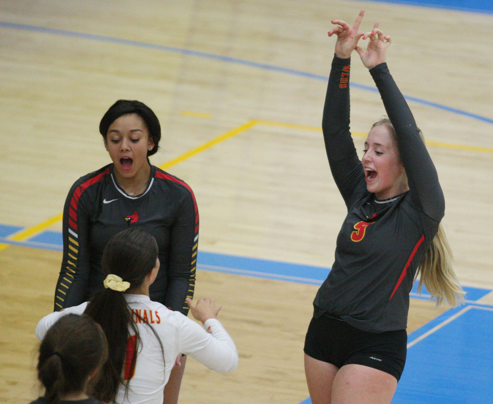 AO vs WL volleyball 14 10.23.17.jpg